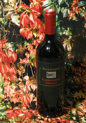 Blaufr�nkisch / Zweigelt