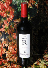 Ribera del Duero Tempranillo