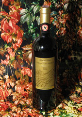 Chianti Classico Riservera 2004