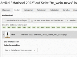 Die Auswahl beim Bild der News steht auf "Nur in Detailansichten anzeigen"